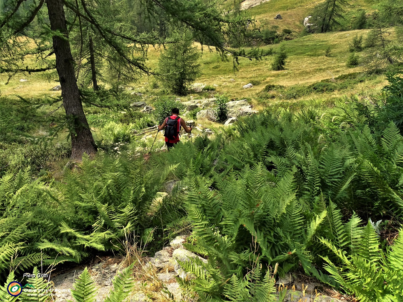 71 Lasciamo il sent. 258 e a vista scendiamo ad agganciare stradetta del Lago della cava.JPG